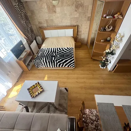 Cozy In Sanny Apartment