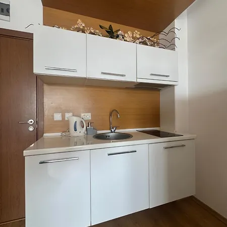 Apartment Cozy In Sanny *