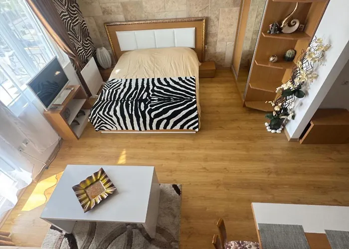 Cozy In Sanny Apartman