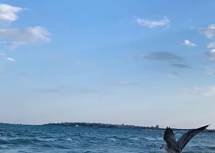 Cozy In Sanny Apartman *